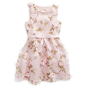 Blush Kids Girl's Floral Organza Sleeveless Dress 3D Flower Pink Size 8